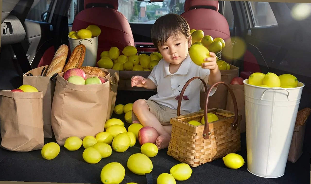 Changan CS55 Plus cabin space 1